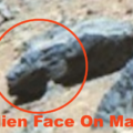 Volto antico trovato su Marte nella foto del Rover Curiosity, segno di vita intelligente, notizie sugli avvistamenti UFO.