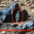 Alieno bipede alto 8 pollici in piedi su Marte mentre guarda il rover nella foto della NASA, UFO UAP Sighting News.