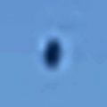 Avvistamenti UFO giornalieri: sfera d'argento sopra l'albero di Jashua, donne in panico in California, 14 settembre 2026, Notizie sugli avvistamenti UFO UAP